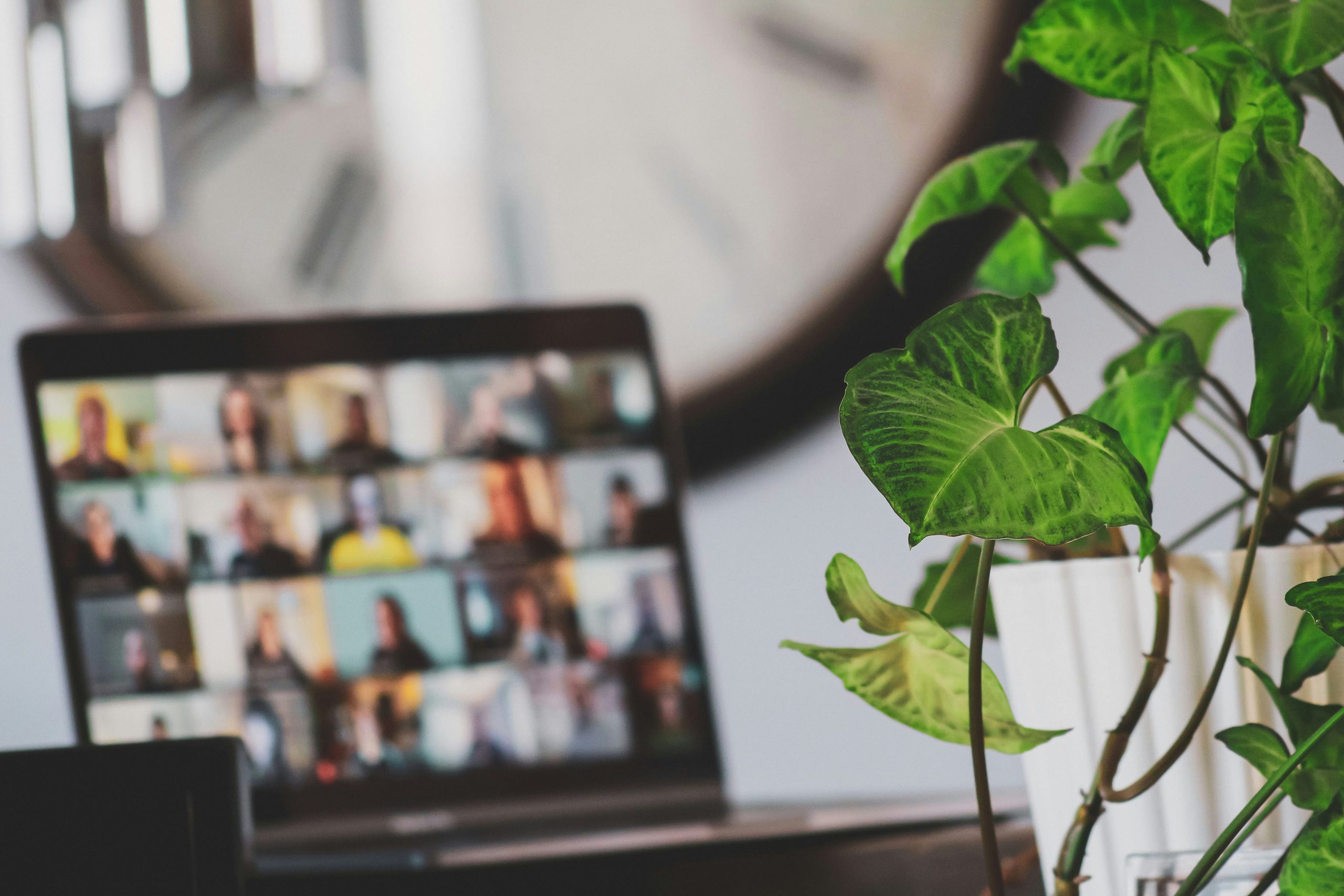 A laptop showing a zoom meeting with Flexa Recruitment
